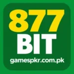 877BIT Game